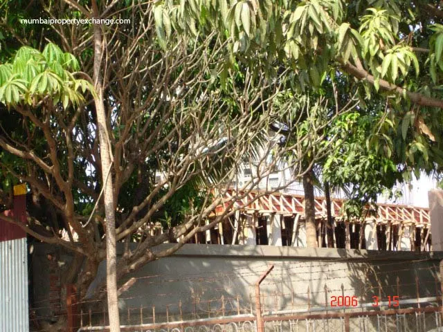 Niharika — Thane West (3)