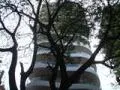 Ever Glades — Bandra West (4)