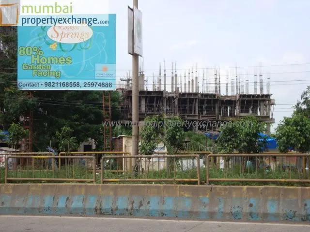 Cosmos Springs Angle — Thane West (3)