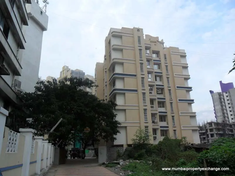Cosmos Springs Angle — Thane West (8)