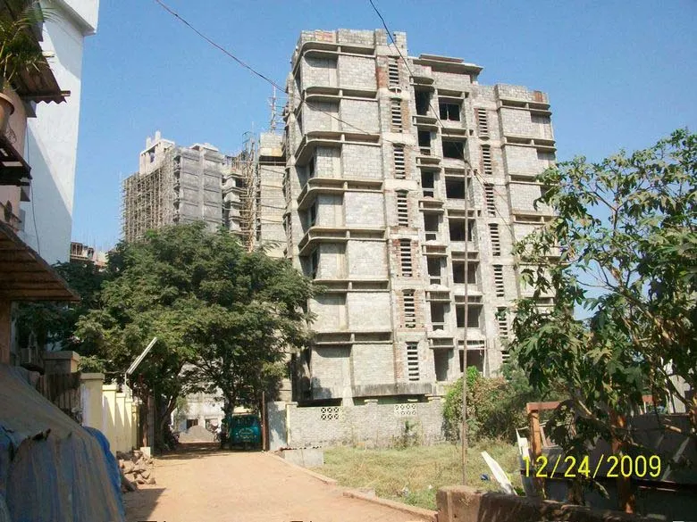 Cosmos Springs Angle — Thane West (6)