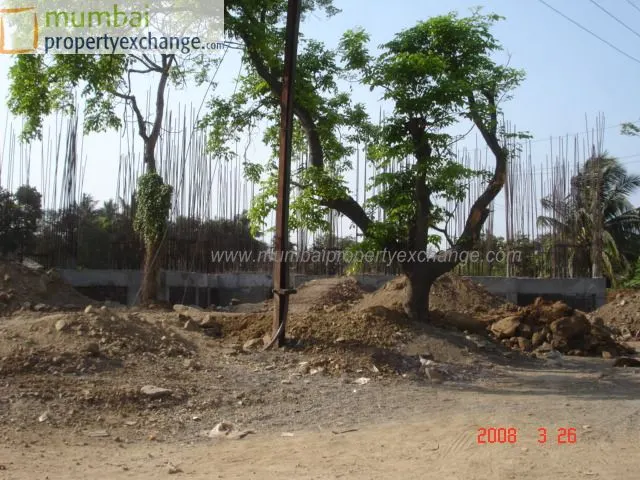 Cosmos Springs Angle — Thane West (2)