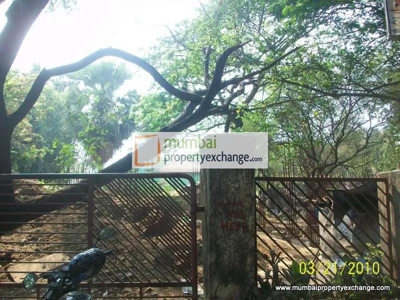 Hill Roof — Bandra West