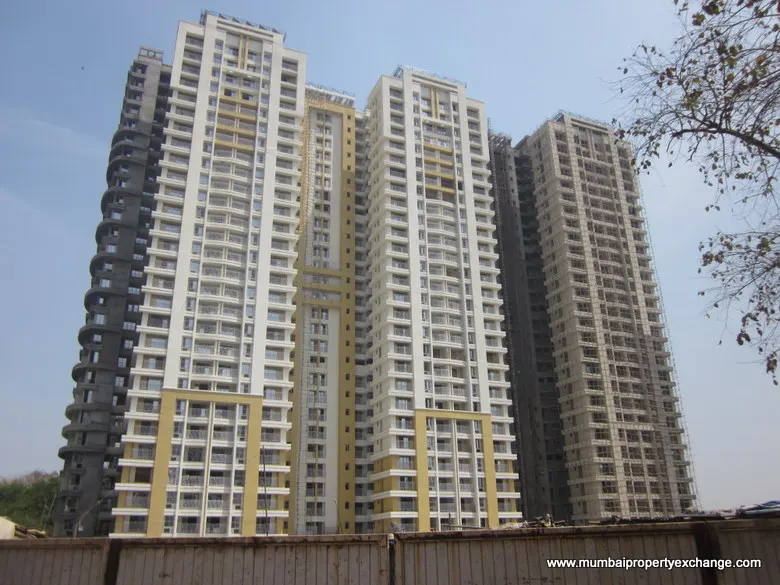 Cosmos Horizon — Thane West (1)