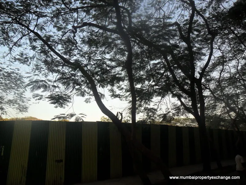 Spring Grove — Kandivali East (4)