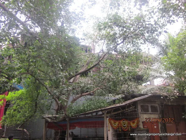 Bharat Apartment — Ghatkopar East