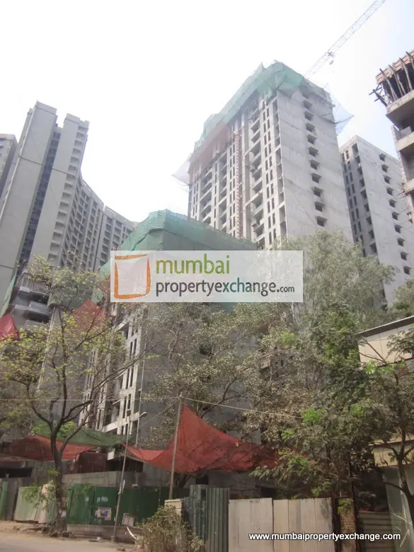 Acme Ozone Basilia — Thane West (3)