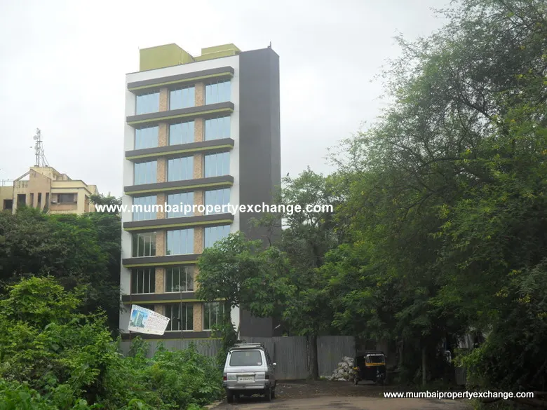 Blueberry — Malad West