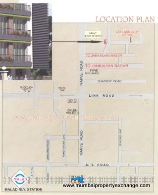 Blueberry — Malad West