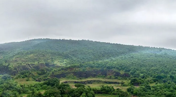 Sparkling Wings — Dahisar East (2)