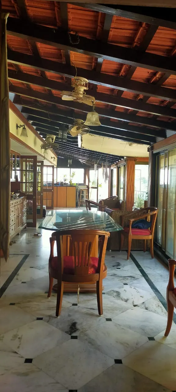 Ivory Tower — Juhu