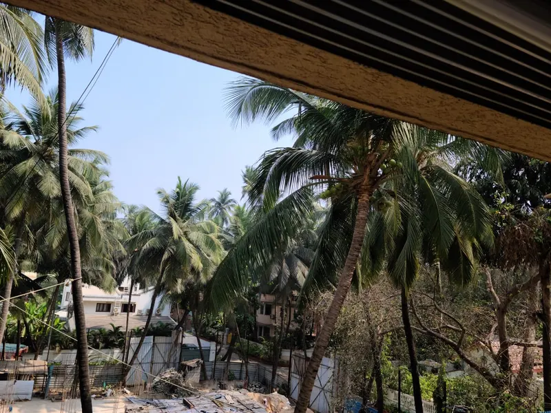 Oyster Shell I — Juhu (3)