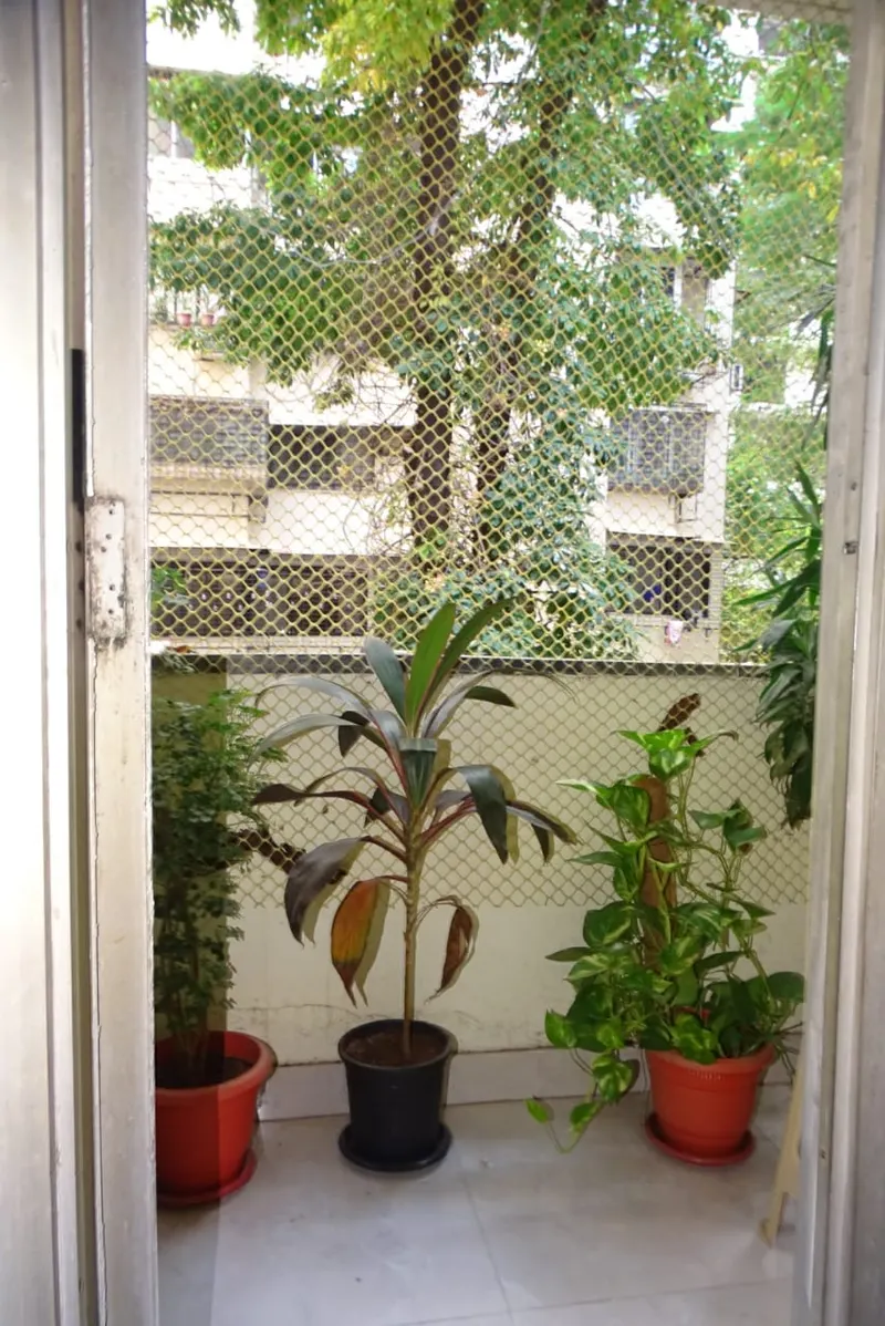 Tranquill Treat — Andheri West (7)