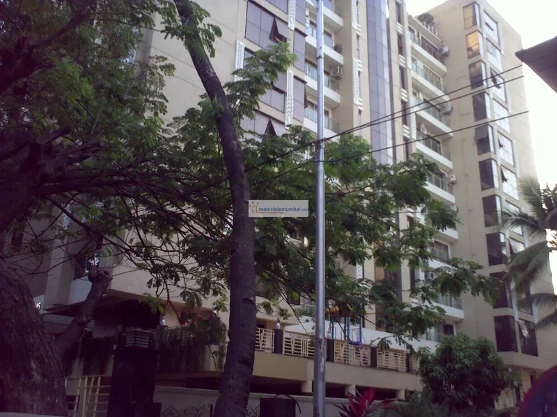 June Blossoms — Bandra West