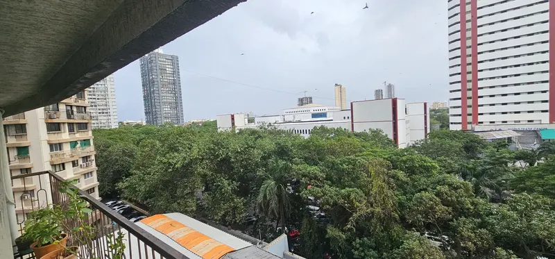 Jolly Maker I — Cuffe Parade (3)